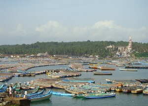 agri-environmental policy