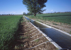 Irrigation